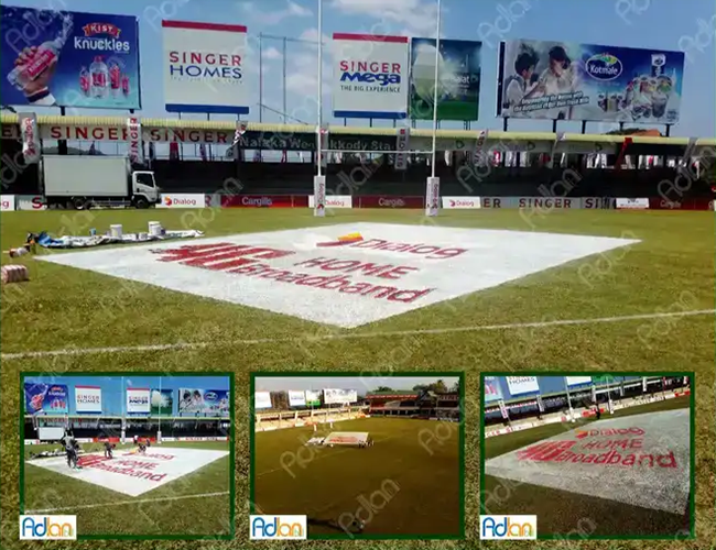 3D Logo Painting